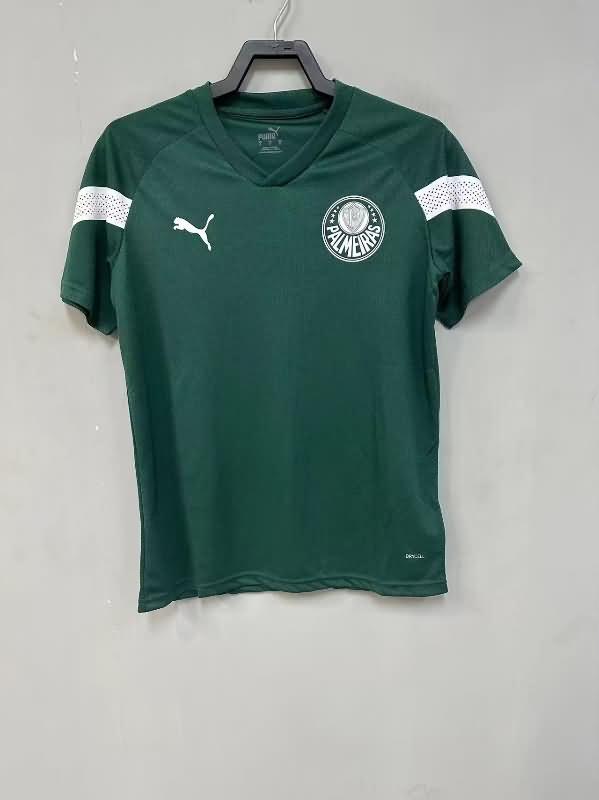 AAA Quality Palmeiras 2023 Training Soccer Jersey