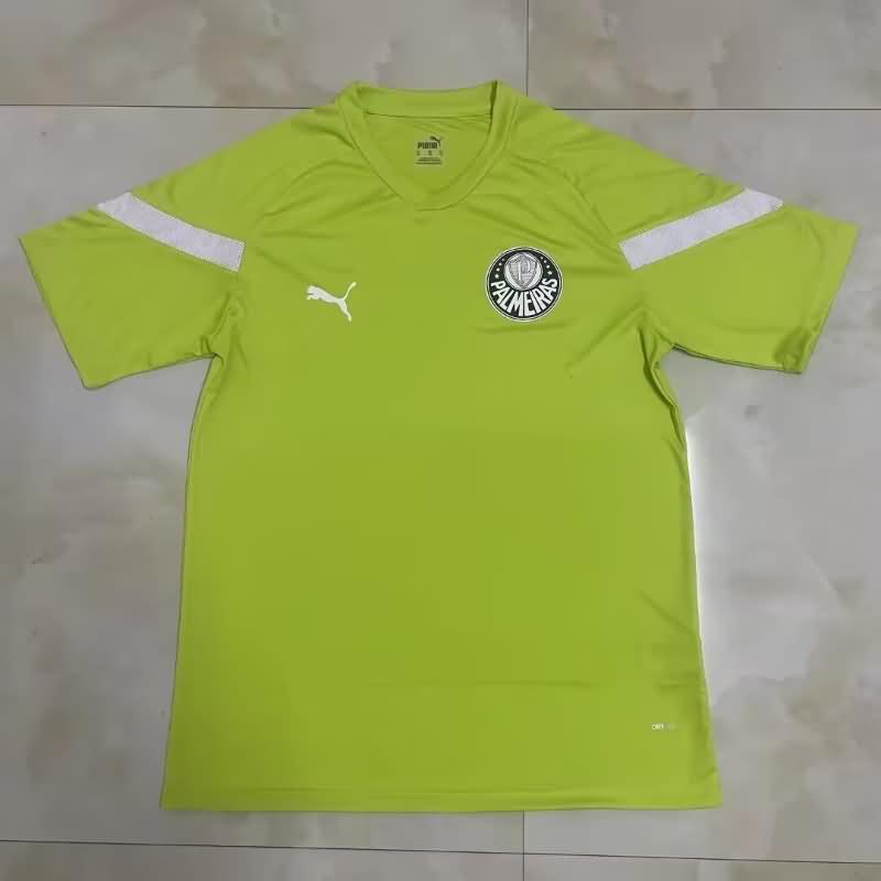 AAA Quality Palmeiras 2023 Training Soccer Jersey 03