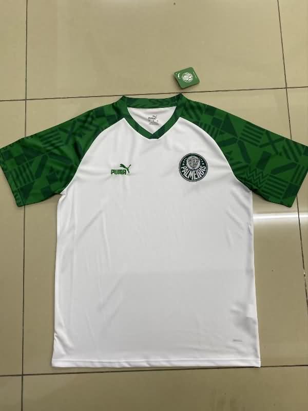 AAA Quality Palmeiras 2023 Training Soccer Jersey 04
