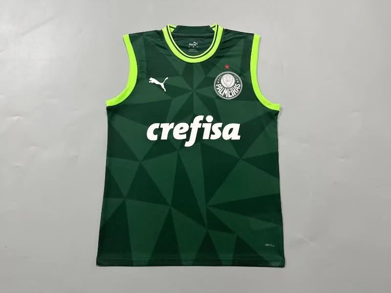 AAA Quality Palmeiras 2023 Training Vest Soccer Jersey