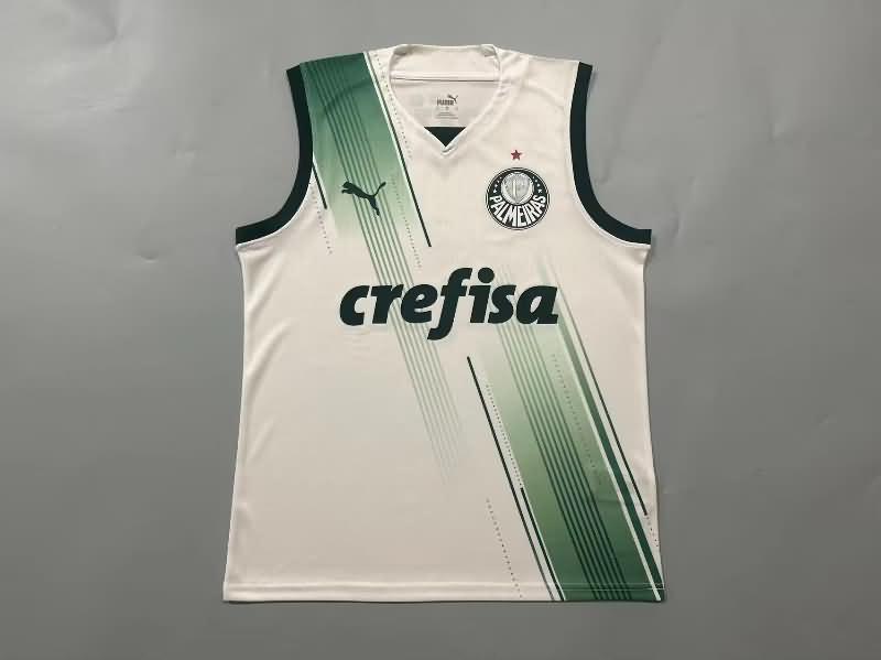 AAA Quality Palmeiras 2023 Training Vest Soccer Jersey 02