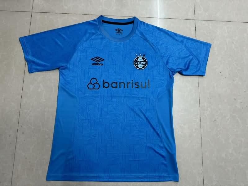 AAA Quality Gremio 2024 Training Soccer Jersey