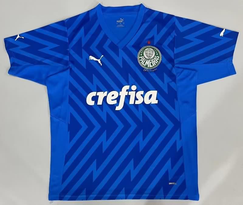 AAA Quality Palmeiras 2024 Goalkeeper Blue Soccer Jersey