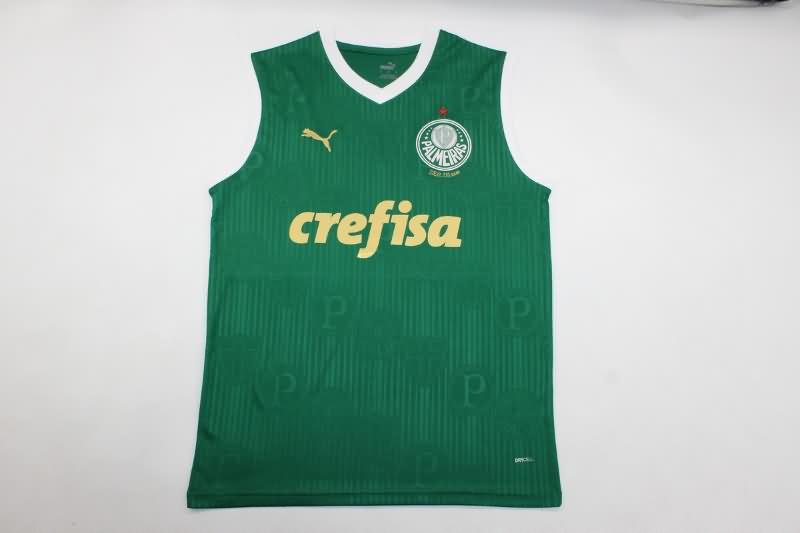 AAA Quality Palmeiras 2024 Training Vest Soccer Jersey