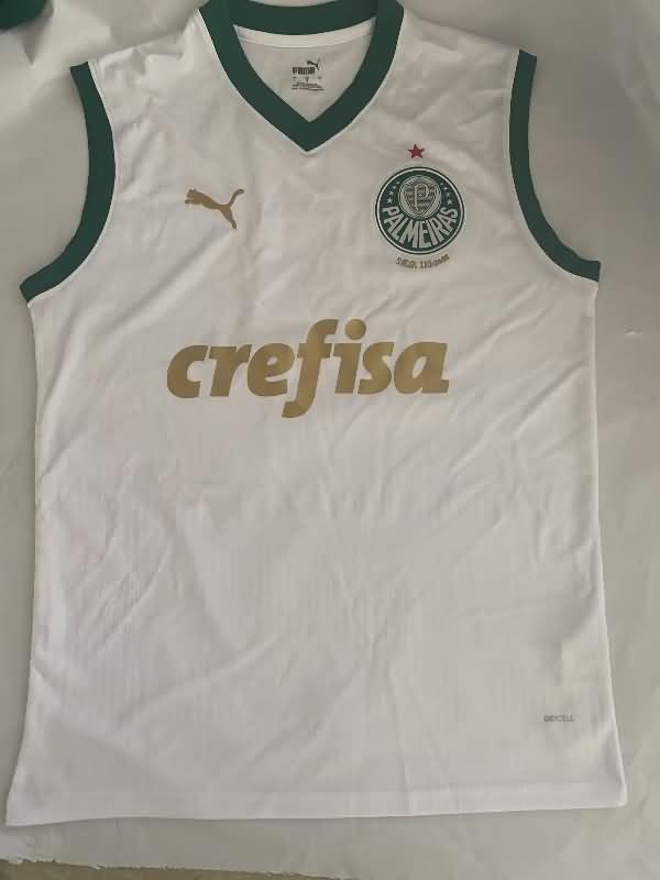 AAA Quality Palmeiras 2024 Training Vest Soccer Jersey 02