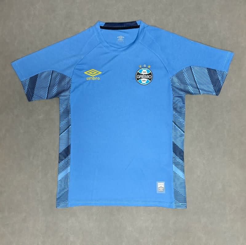 AAA Quality Gremio 2025 Goalkeeper Blue Soccer Jersey