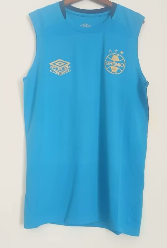 AAA Quality Gremio 2025 Training Vest Soccer Jersey