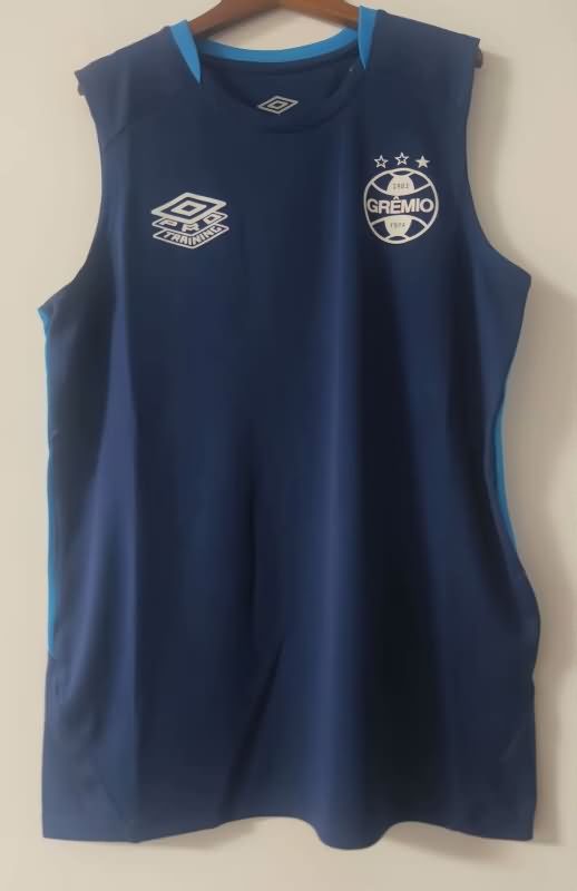 AAA Quality Gremio 2025 Training Vest Soccer Jersey 02