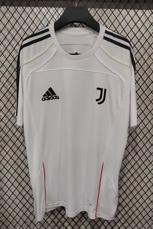AAA Quality Juventus 25/26 Training Soccer Jersey 06