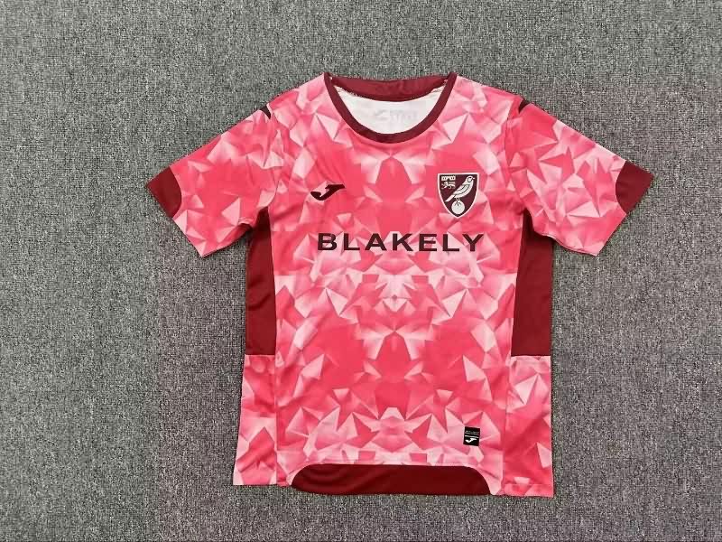 AAA Quality Norwich 25/26 Third Soccer Jersey