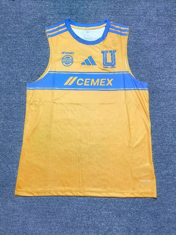 AAA Quality Tigres Uanl 25/26 Training Vest Soccer Jersey