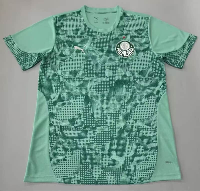 AAA Quality Palmeiras 2026 Training Soccer Jersey