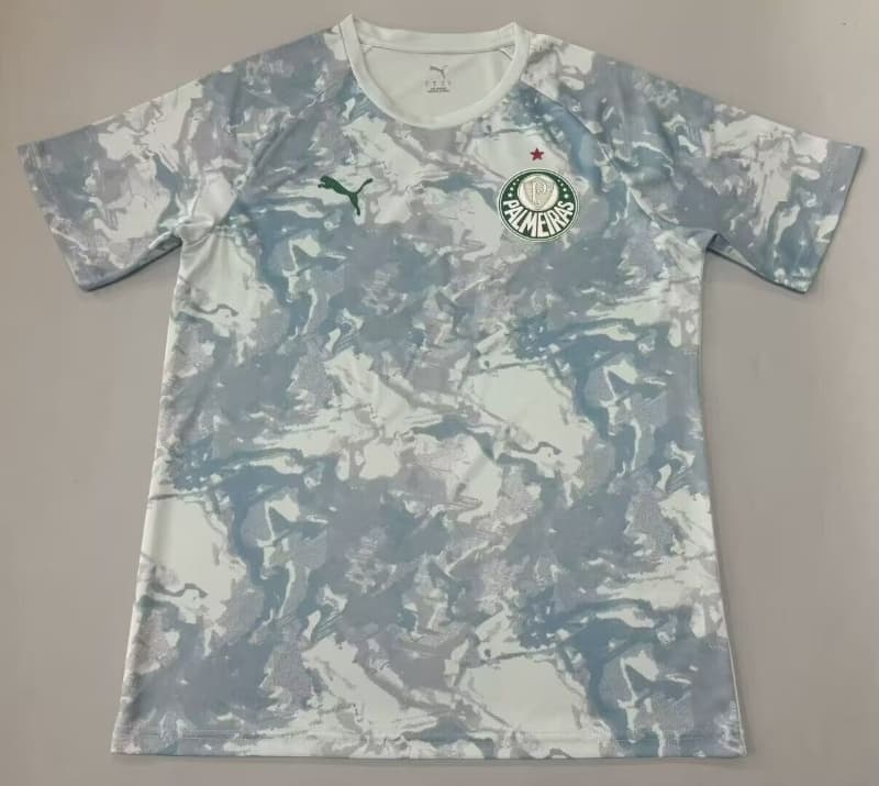 AAA Quality Palmeiras 2026 Training Soccer Jersey 02