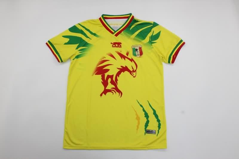 AAA Quality Mali 2023 Training Soccer Jersey