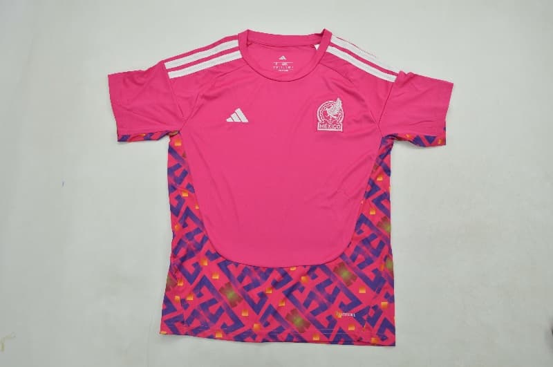 AAA Quality Mexico 2026 Goalkeeper Pink Soccer Jersey