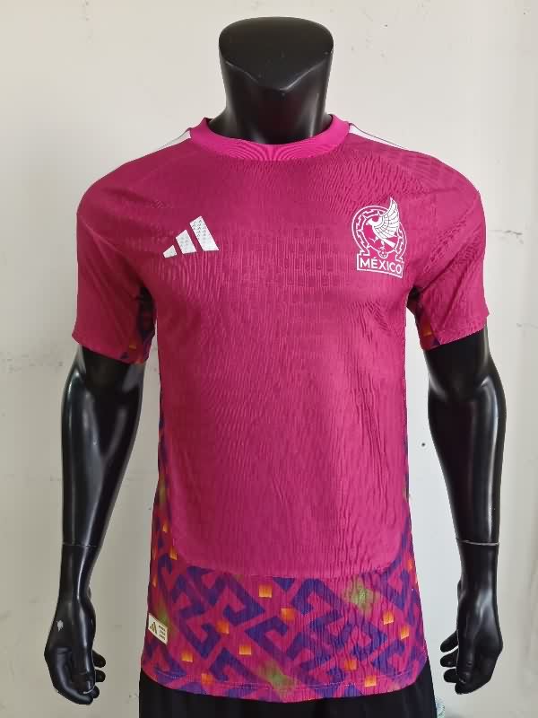 AAA Quality Mexico 2025 Goalkeeper Pink Soccer Jersey (Player)