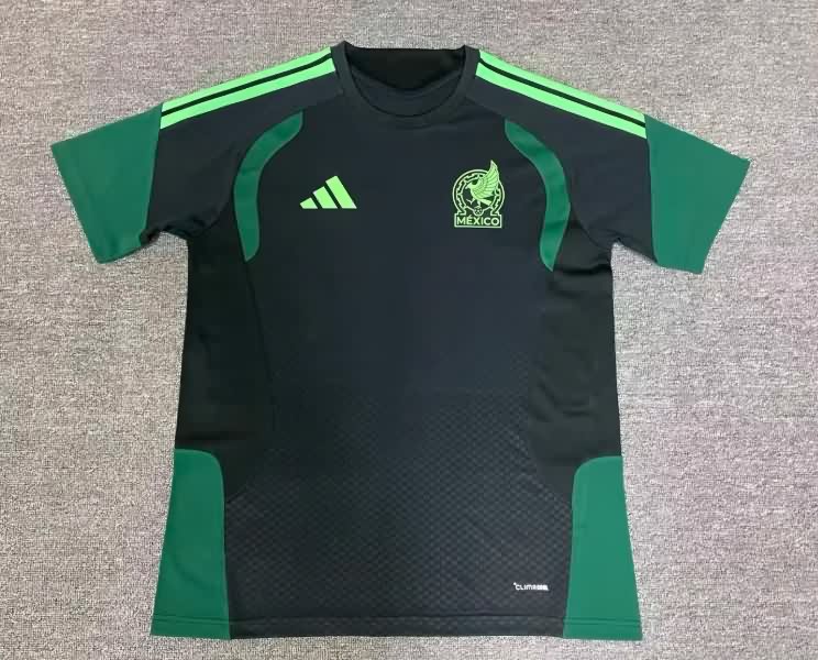 AAA Quality Mexico 2026 Training Soccer Jersey (Player)