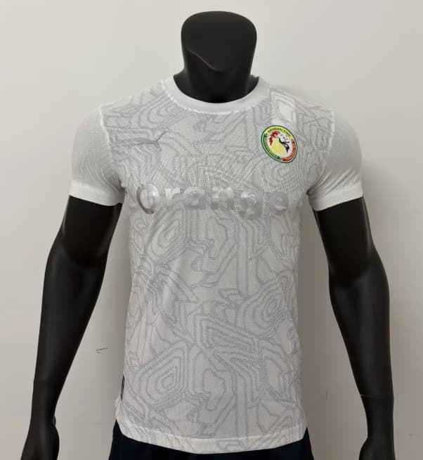 AAA Quality Senegal 2026 Training Soccer Jersey (Player)