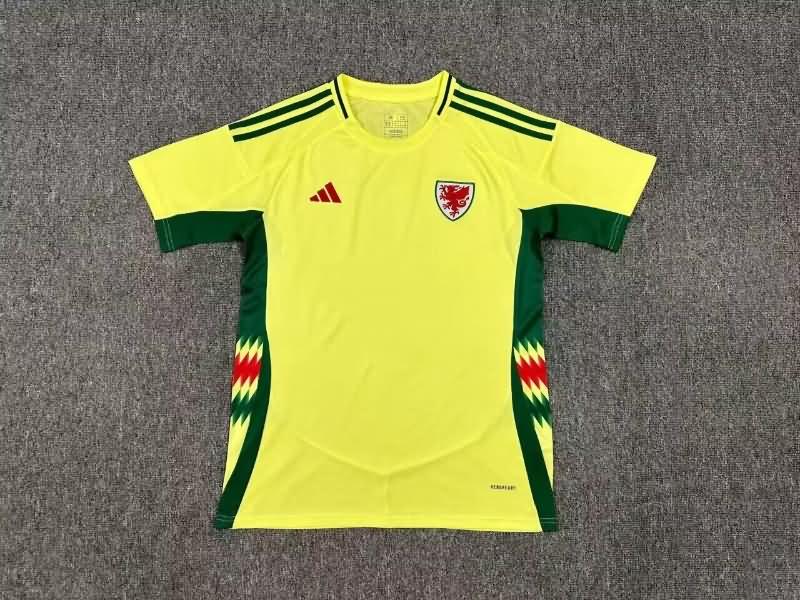 AAA Quality Wales 2024 Away Soccer Jersey