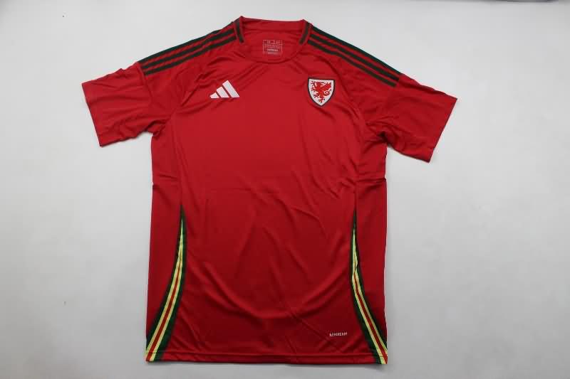 AAA Quality Wales 2024 Home Soccer Jersey