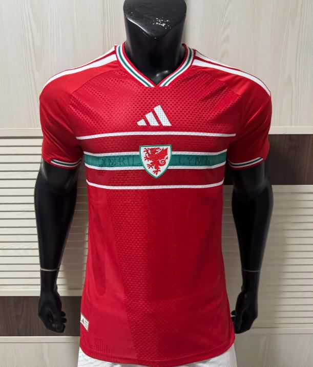 AAA Quality Wales 2026 Home Soccer Jersey (Player)